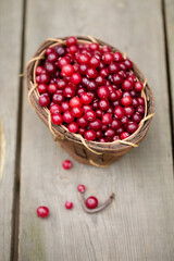 berry cranberries in a wooden basket on a wooden background