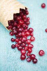 a ripe juicy cranberry berry spilled out of a small wicker basket