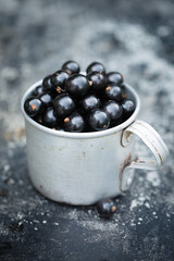 Ripe black currants in a metal vintage cup