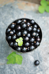 black currants in a black bowl, top view