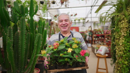 Joyful friendly Older Male business owner of Plant Store Carrying Flowers Senior Working in Local Gardening Shop