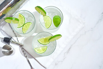 Alcoholic drink gin tonic cocktail with lemon ice, top view.