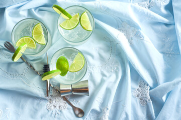 Alcoholic drink gin tonic cocktail with lemon ice, top view.