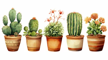 Glasschilderij Cactus in pot Watercolor illustration of Cacti in Terracotta Pots isolated on white background