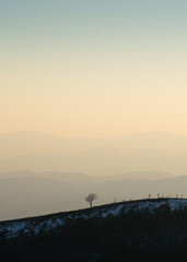 Lonely tree on hill against mountain layers fading in haze, view from mountain Ljubic near Prnjavor