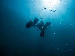 Diver silhouette and bubbles scuba diving in deep water.