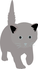 cat cartoon illustration