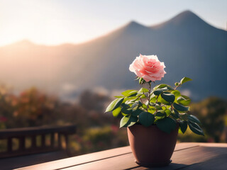 Exquisite Blossoming Pink Rose: Nature's Masterpiece in a Clay Pot, Adorning a Rustic Wooden Table. A Breathtaking Hilltop Backdrop Bathed in Sunlight Amplifies its Splendor