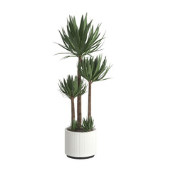 plant in a pot On transparent background PNG file. Can be used for invitations, greeting, wedding card	