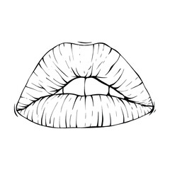 mouth, lips sketch vector illustration line art