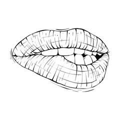 mouth, lips sketch vector illustration line art