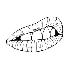 mouth, lips sketch vector illustration line art