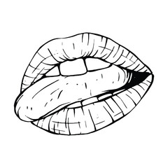 mouth, lips sketch vector illustration line art