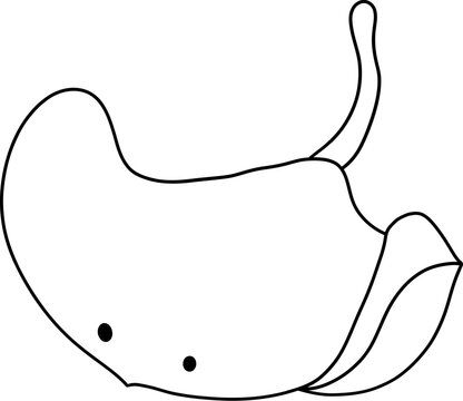 recommend clip art: cute Stingray outline, Underwater sea life, ocean creatures clipart