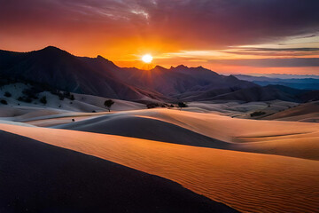Fototapeta na wymiar Panorama of sand dunes Sahara Desert at sunset. Endless dunes of yellow sand