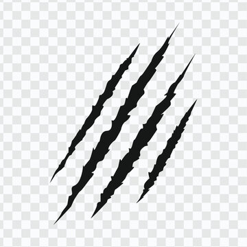 Claws scratches flat icon isolated on transparent background, simple Claw sign vector Illustration. eps 10