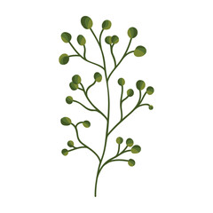 Isolated colored seasonal leaves with flowers Vector