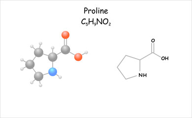 Stylized molecule model/structural formula of proline. 