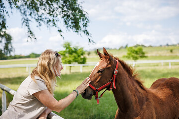 Woman stroking foal at pasture. Thoroughbred horse at farm