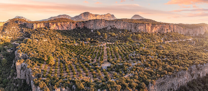 Aerial view of scenic rocks and cliffs in Geyikbayiri, Turkey - famous climbing spot. Outdoor activity and recreation place
