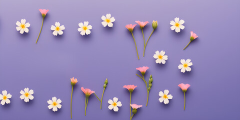 collection-of-small-flowers spring flowers on plain background