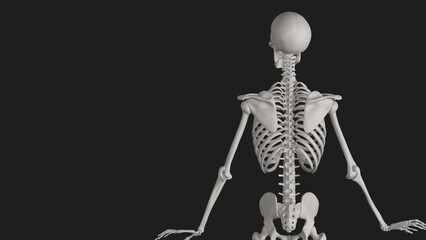 skeleton posing 3d render with black background