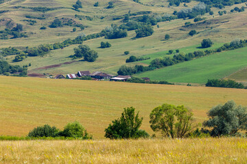Obraz premium The landscape at Viscri in Romania