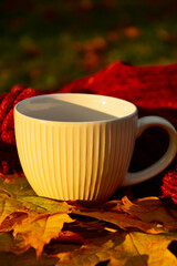 A cup on the background of a brown knitted sweater. Yellow maple leaves . Warm and cozy autumn. Leaf fall.