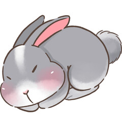 Gray Bunny 