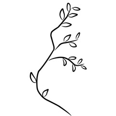 Botanical line.plant line art.