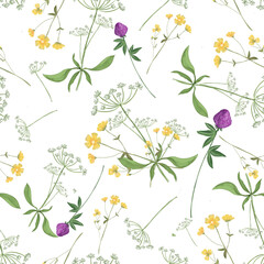 Trendy seamless floral textile print. Aerial flora pattern. Botanical print with meadow herbs and medium-sized flowers, thin stems, graceful fragile, loose pattern.Natural colors. Vector, hand drawing