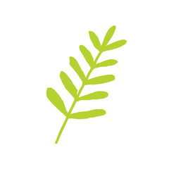 Hand drawn floral elements,Vector branches and leaves,Vintage botanical illustrations,Tiny plantsand flowers