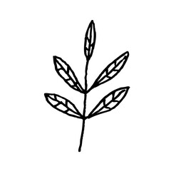 Hand drawn floral elements,Vector branches and leaves,Vintage botanical illustrations,Tiny plantsand flowers