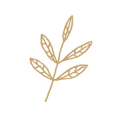 Hand drawn floral elements,Vector branches and leaves,Vintage botanical illustrations,Tiny plantsand flowers