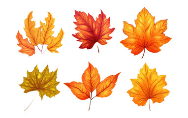 Naklejka na ściany i meble set vector illustration autumn leaf elements isolated on white background