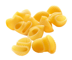 raw pasta isolated on white background, top view