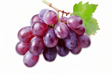 Fototapeta premium bunch of grapes PNG 8k isolated on white background