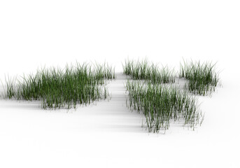 grass patches on transparent background. 3d rendering.