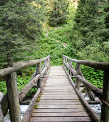 Trentino Alto Adige, Lagorai Italy - Wooden bridge in the path in the middle of the mountain forest