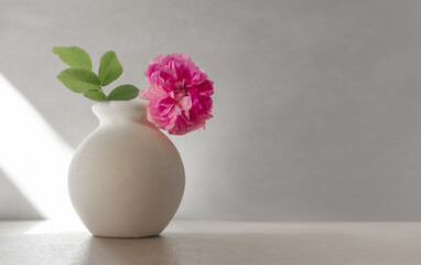 Rose flower in spherical white vase on gray background with copy space for greeting card, invitation, wedding, etc.