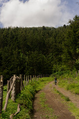 hiking in the mountains