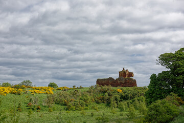 Fototapeta na wymiar The Ruins of the Curtain Wall and Keep of Red Castle at Lunan Bay, set up on the ridge overlooking fields and flowering yellow Gorse.
