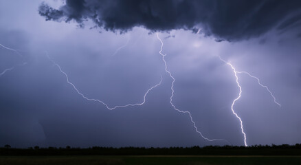 big thunder falling in wooded area at night in high definition