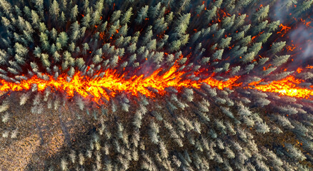 fire in forest area aerial view in high resolution and sharpness. forest fire concept
