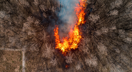 fire in forest area aerial view in high resolution