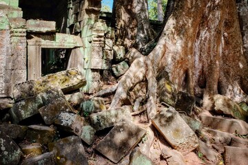 Huge roots of tropical trees are destroying ancient Khmer buildings in Cambodia.