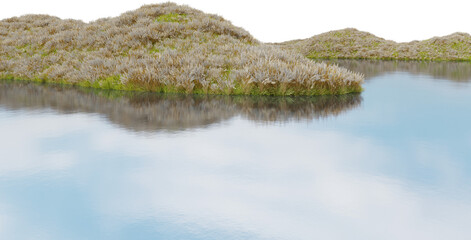 Realistic flower field and river. 3d rendering of isolated objects.