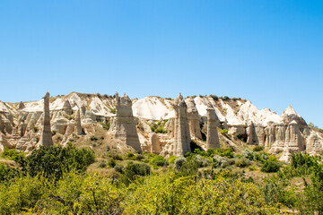 Fototapeta premium Cappadocia landscape with beautiful flowers and blue sky