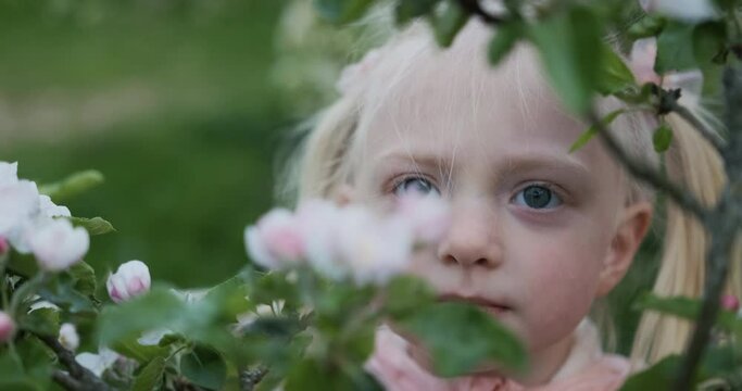Serious little girl with blonde hair looks at the camera and then smiles. Video portrait of child outside behind flowering branch.
