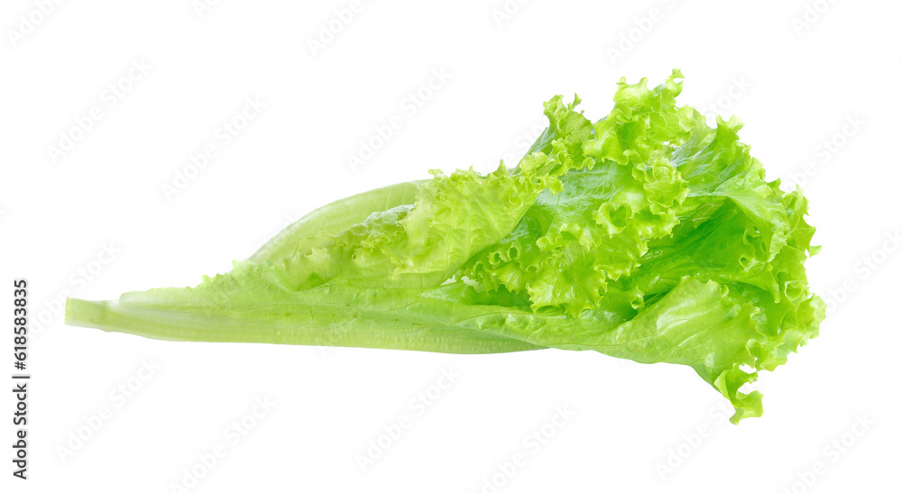 Sticker Fresh green lettuce transparent png